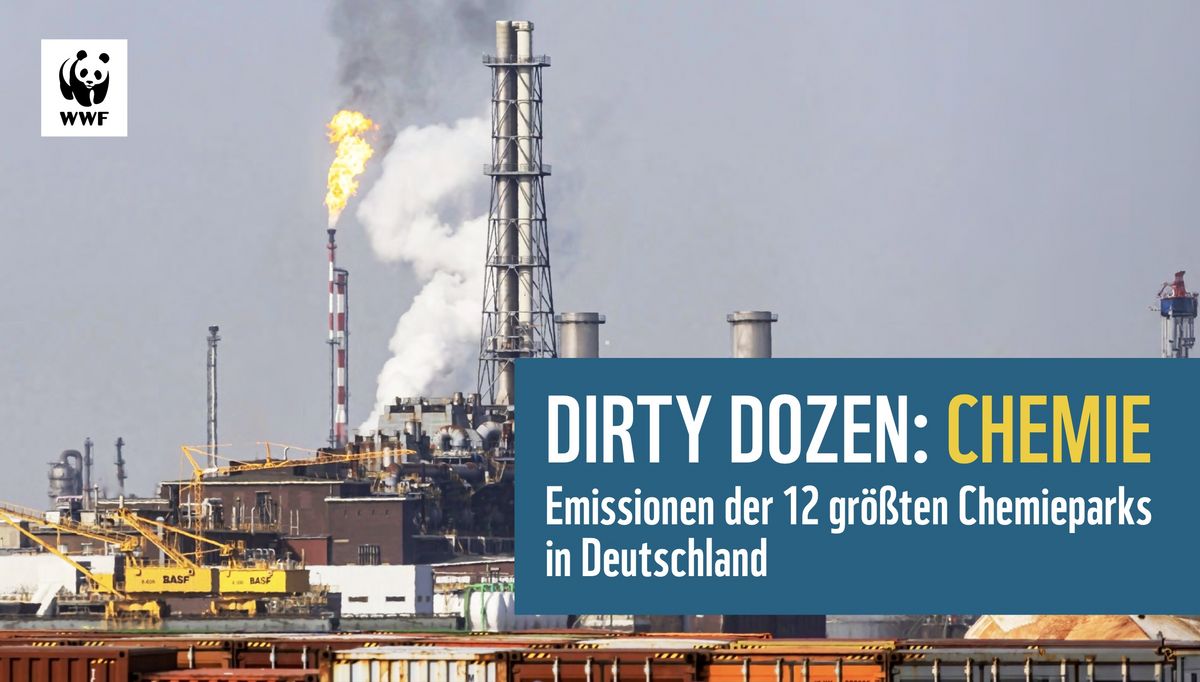 Factory - Magazin Für Nachhaltiges Wirtschaften: Emissionsintensive ...