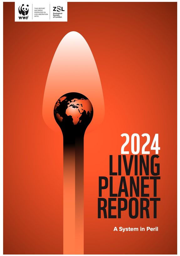 Titel des Living Planet Reports 2024 zeigt ein angezündetes Streichholz