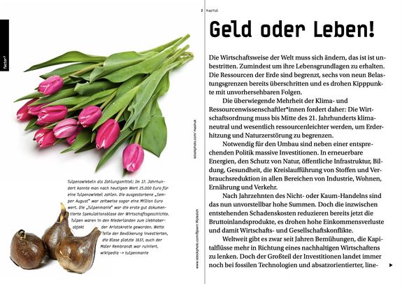 Editorial des factor<sup>y</sup>-Magazins Kapital mit Tulpen und Tulpenzwiebeln