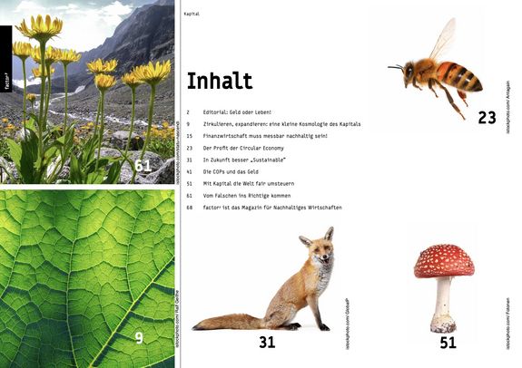 Inhaltsverzeichnis des factor<sup>y</sup>-Magazins